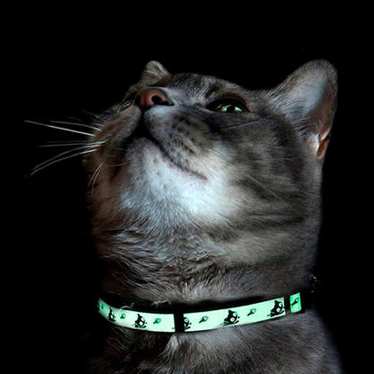 Glow in the Dark Cat Collar with Breakaway Safety Buckle & Bell Adjustable Kitten Collar, Teal