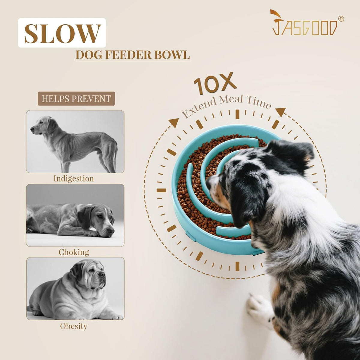 Slow Feed Dog Bowl for Large and Medium Breeds, Anti-Gulping Design to Prevent Bloat and Choking