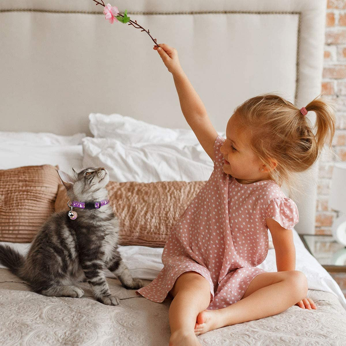Adjustable Breakaway Cat Collars with Bell - 2-Pack Glow in the Dark Moons and Stars Design (Black & Purple)