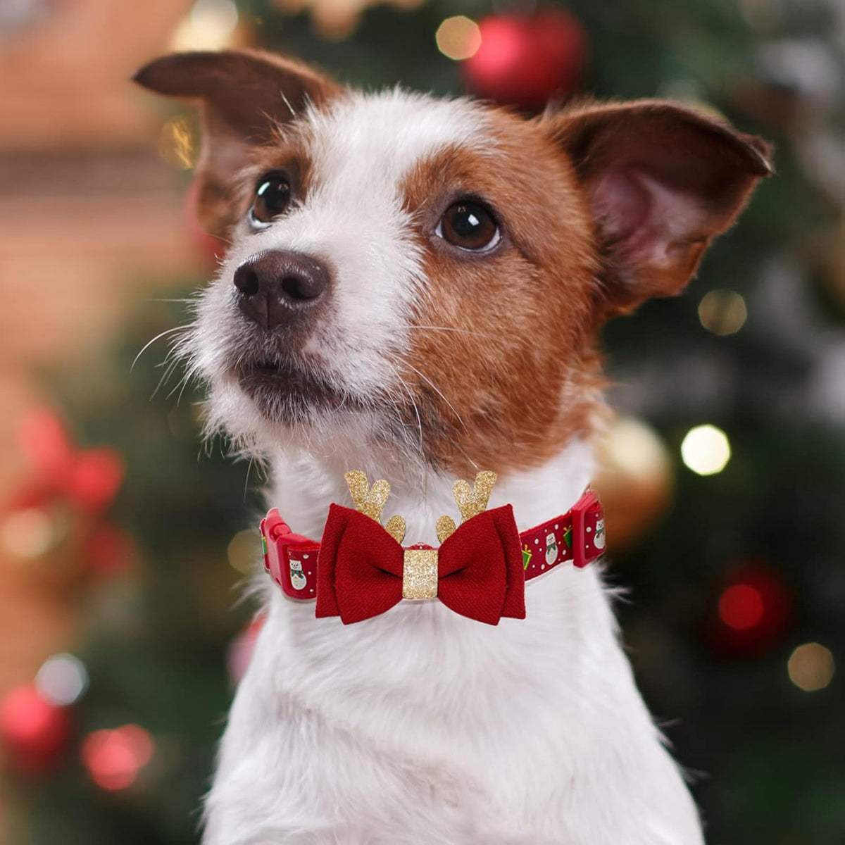 Adjustable Christmas Dog Collar with Antler Bow Tie and Snowman Accessories for Medium Dogs